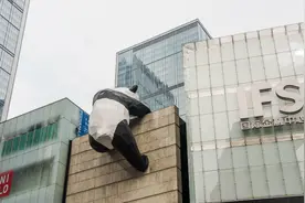 真是后悔去晚了成都，6天成都自由行攻略，在这里旅游是一种休闲图片