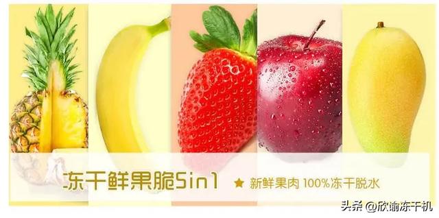 真空冷冻干燥可以和其他行业技术结合
