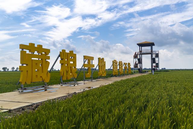 辽宁沈阳：市民与游人又一打卡地来袭
