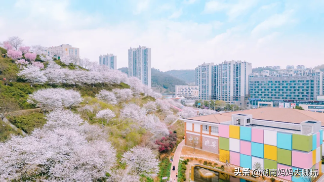 亲子家庭扎堆打卡！2025湖南工业游新路线官宣，玩法太上头了吧