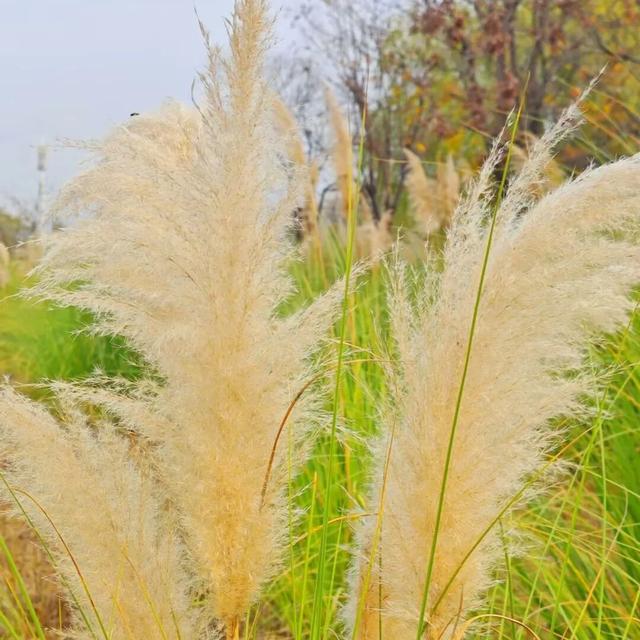 最浪漫的事，牵上“她”的手，湿地走一走