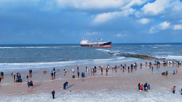 白茫茫一片！“雪窝子”威海下起倾盆大雪