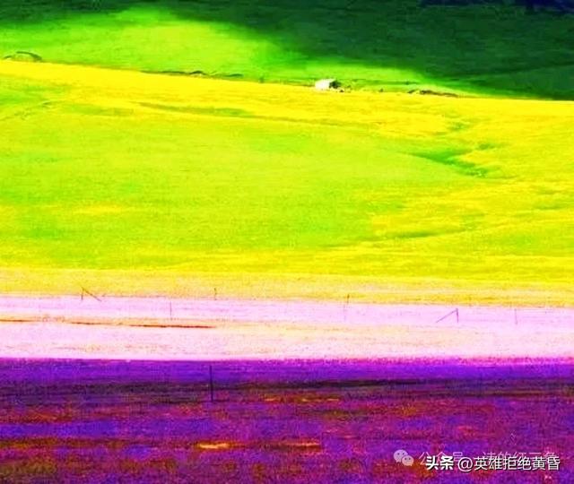 西行万象 醉美新疆