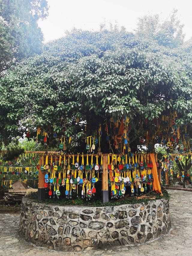 梦幻云南（五）：泸沽湖畔女儿国