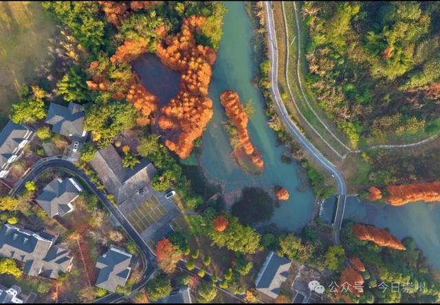 免费又出片！崇州初冬宝藏秘境，美到封神！