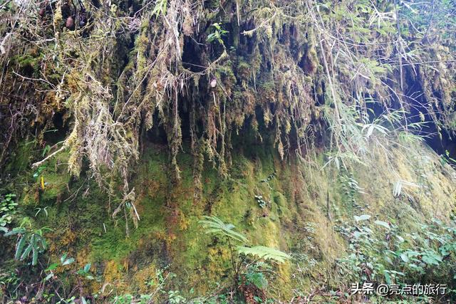 马来西亚的南洋旧梦（金马伦一日游）