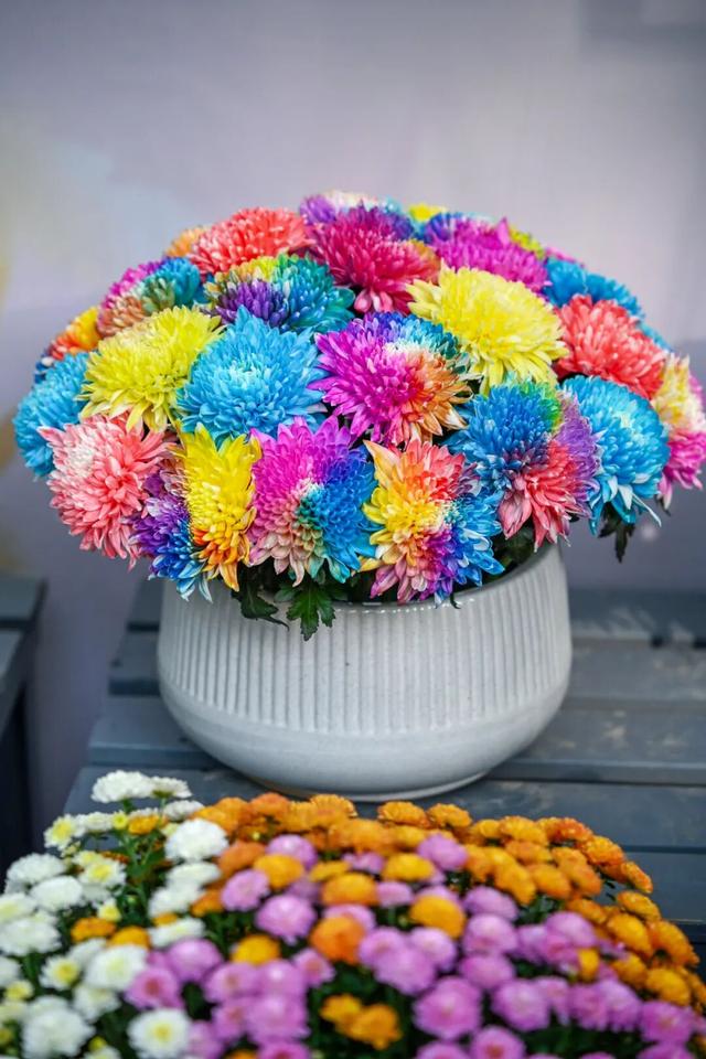 走，去趵突泉！收集秋天最靓的九宫格～