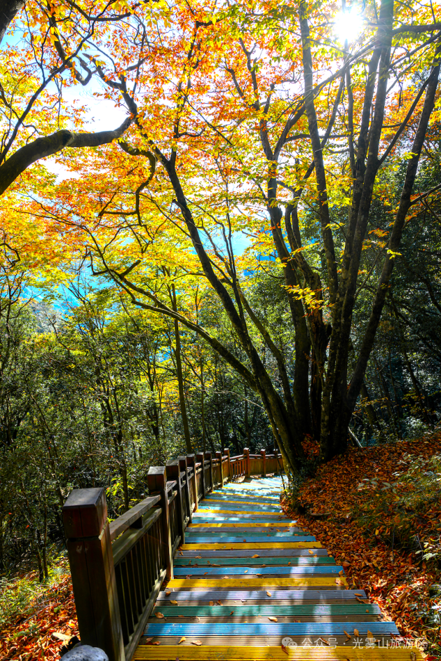 宝子你听我说，近期天气好、红叶美，光雾山可以冲了!