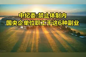 中纪委:禁止体制内国央企单位职工干这6种副业图片