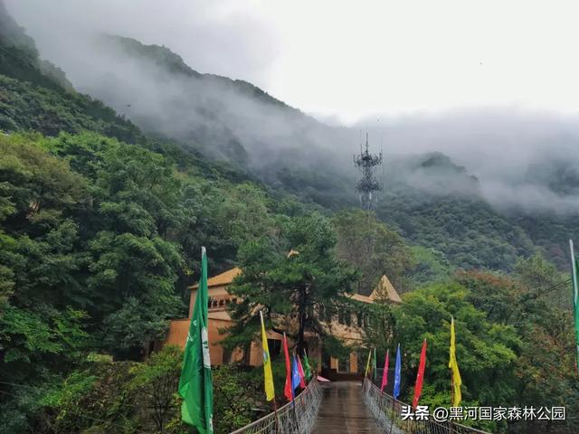 美如仙境!邀您共赏雨中的黑河国家森林公园~