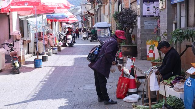 云南千年古镇，唐代开通国际贸易通道，四季如春旅居地，动车直达