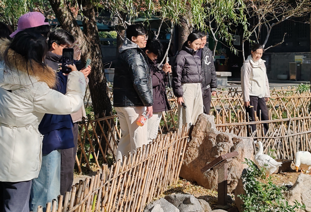 “发现临沂”City walk正当时——临沂大学“城市文旅探索家”大学生旅游线路体验活动举行