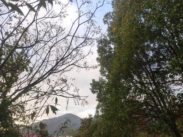 站在同一个地方，想看到不一样的风景，那就请抬头——