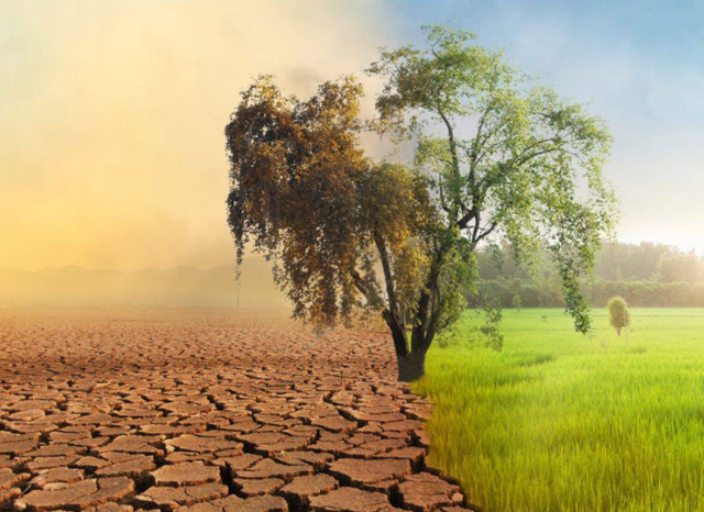 日韩上演争“爸”赛？ 同时宣布大豆紧缺，拟定采购美国大豆！