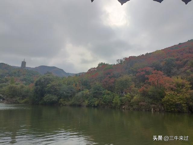 无为在歧路，济南红叶谷