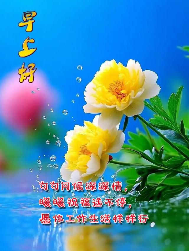 每日100句吉祥祝福语，最美的问候语大全，祝福朋友们快乐吉祥