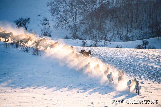 把冬天过成诗！这8个旅行地，藏着国内最浪漫的雪景和暖阳