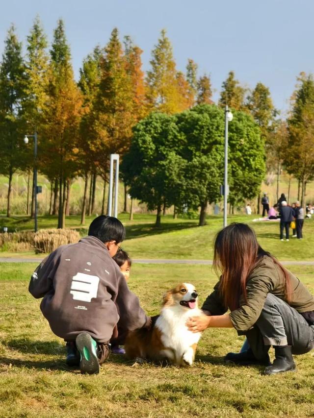 新津人的“小美满”，开启全民晒太阳模式