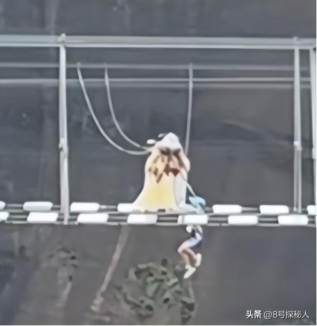 惊险！男童踩空玻璃栈道，身体悬挂空中，路人营救被骂，景区回应