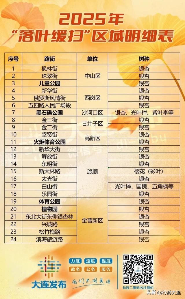 错过等一年~这个周末来这些免费打卡点，拍落叶