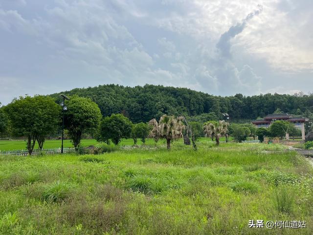 抚州临川王安石故里