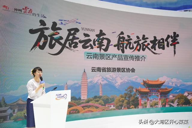 云南真是为游客操碎了心啊