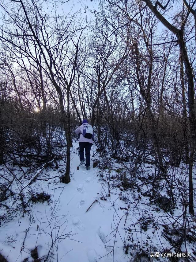 雪后初霁登顶嵯峨山，走荒野雪原，看千年悟空塔，感受历史的烟云