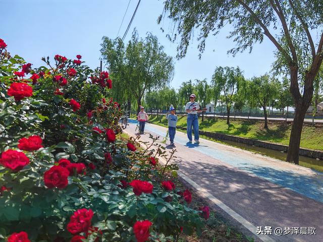 云梦初夏好风光，秦皇河畔醉田园