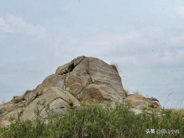 探寻包头市固阳县境内古遗址道路上的一些个人感悟