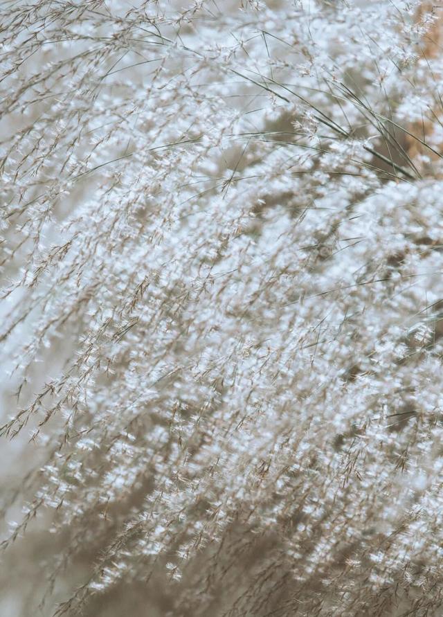 听说东营竟然“下雪”了？？？