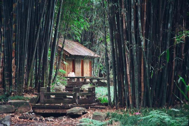 成都最值得去的6大免费景点，太好玩了！送给第一次去成都的你