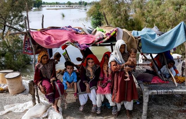 就地处决！联合国“震惊	”	，英法德意四国外长发表联合声明