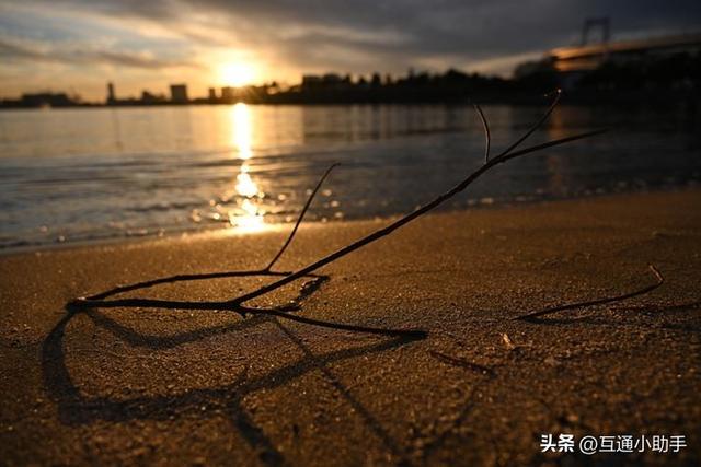 尼康“NIKKOR Z 24-120mm f/4 S”快速评测：尼康经典标准变焦镜头