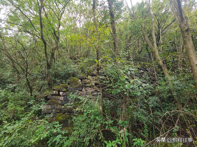 探寻龙眼山古寺遗址，一次最为艰难的野外探险之旅