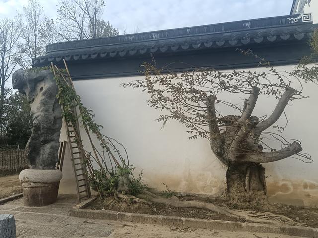 赴一场红色之约 寻迹灌河古桥的峥嵘岁月