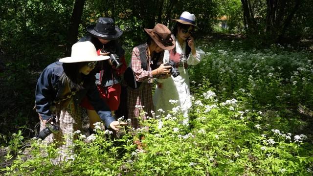 回顾“十四五”展望“十五五”系列报道之三 额尔古纳：以“文”塑旅 绘就全域新画卷