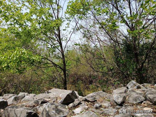 探访邓州修建在山顶的古严寨，发现内外两道城墙，大碾盘，楚兵营