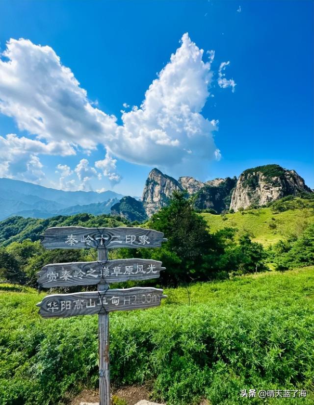 秦岭其他山头去不了，华阳草甸可以啊，一起去陕西版的阿勒泰吧！