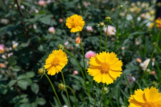 为什么十个亲家，九家关系处得都一般，原因就是一个，理念不一样