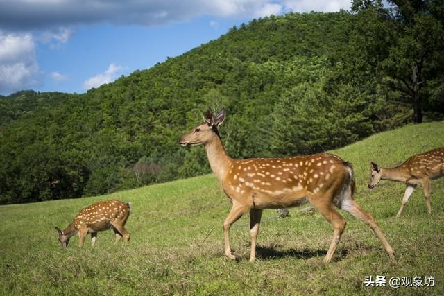 2026携程亲子榜爆了！东北这4城杀疯，明年遛娃直接锁死
