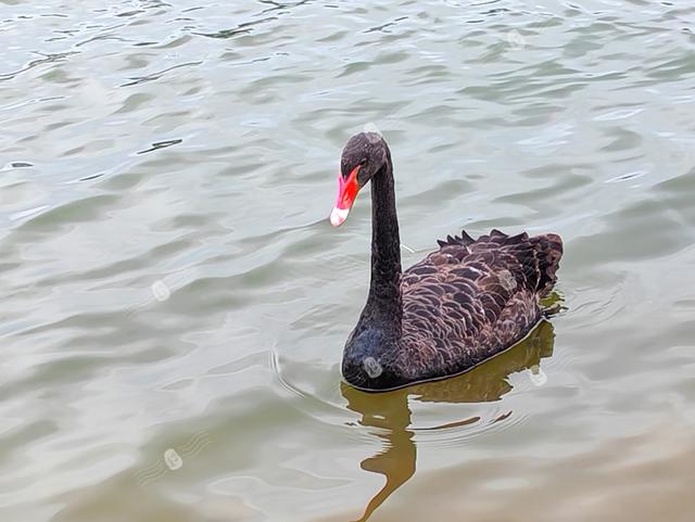 弥勒：藏在滇中的热带风情