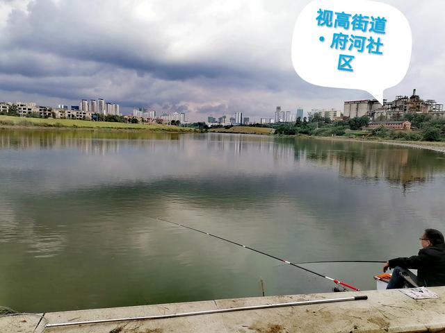 双流／华阳／仁寿苏码头历史资料