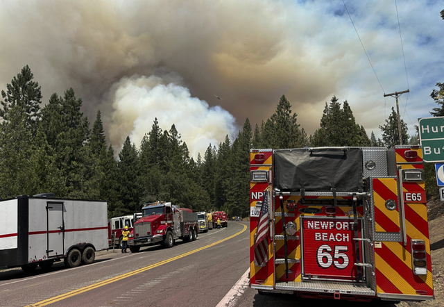 被裁数百人！特朗普裁减林务局岗位，人手告急致防火系统拉响警报