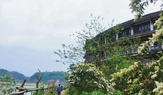 苦熬5年，乐山人的“太阳岛”有新动作！开放悬念待解