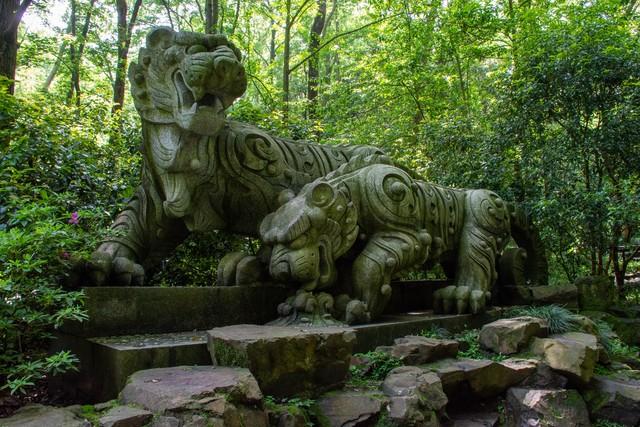 寻香杭州秋日漫行｜一条串起水光、茶田与桂雨的10公里轻徒步路线