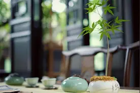 男人过了60岁，还需要女人吗？过来人的回答给所有男人提了个醒图片