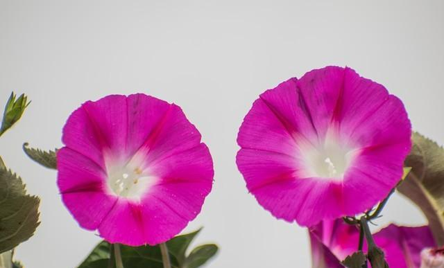 60岁阿姨直言不讳：两性关系中，女人最渴望的不是钱，而是这4样