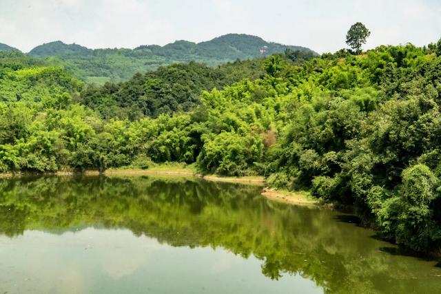 从乾龙湖的蝉声到灵音寺的禅声