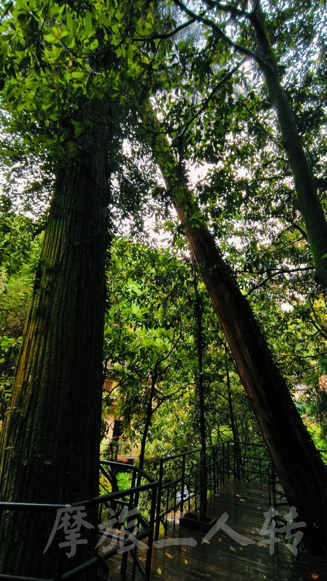 皖浙摩旅二人转——松阳横坑村篇（下）