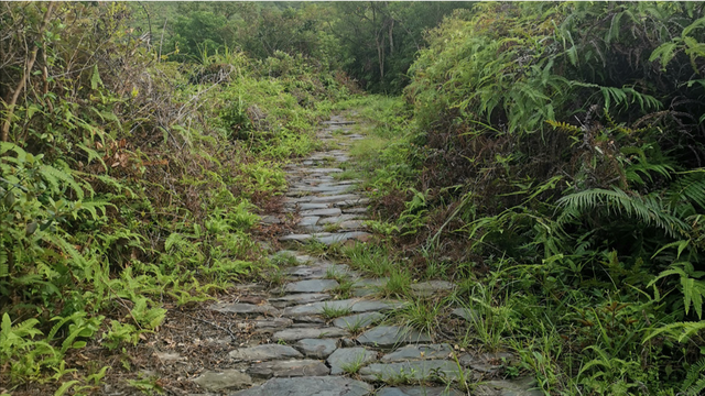 轻信亲子网红路线，6个家庭16人徒步东都岭失联，最小仅6岁